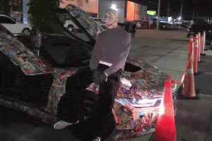 This Isnt Real Art Basel GIF