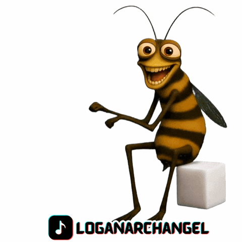 Logan Fina GIF