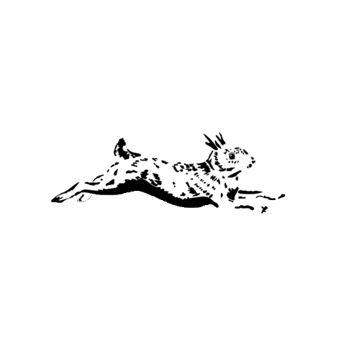 The White Rabbit Coffee House Sticker