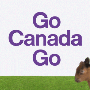 World Cup Soccer GIF by TELUS