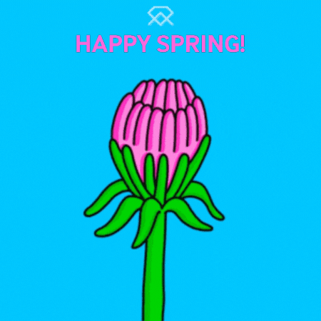Happy Day Flower GIF by MSD Online Shop