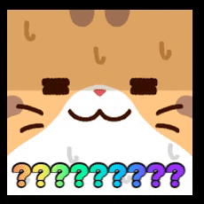 Confused Cat GIF