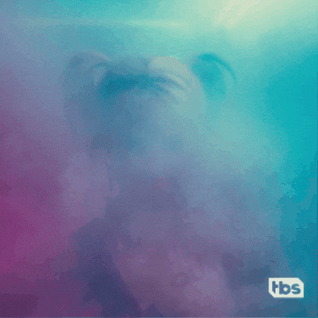 Harley Quinn Surprise GIF by TBS Network