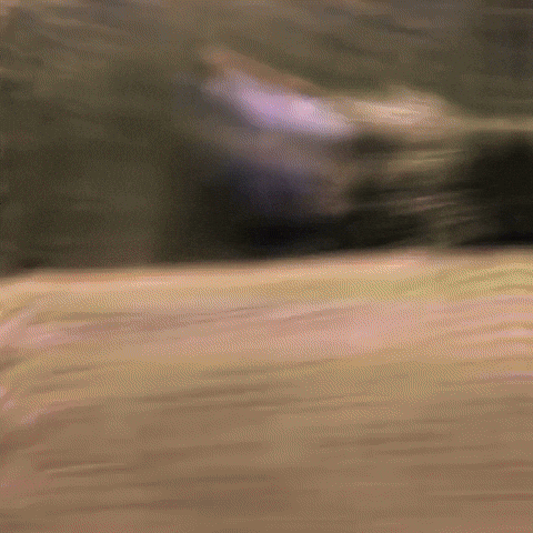 Dexter Morgan Running GIF
