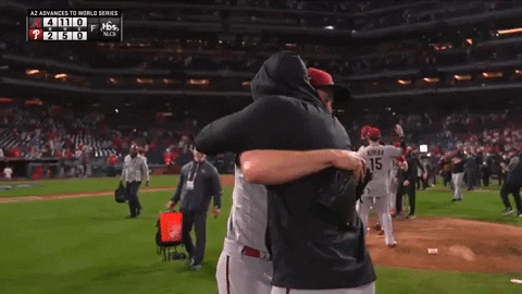Celebration Hug GIF by MLB