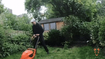 Lawn GIFs - Find & Share on GIPHY