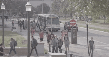 200.gif?cid=fc005b08562063b682739479f763963fd3b580ce8b518286&rid=200.gif&ct=g