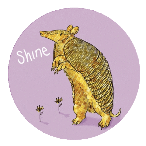 Fun Shine On Sticker