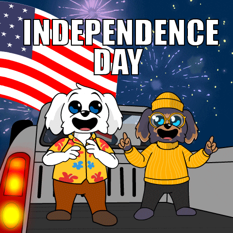 Independence Day Usa GIF by BoDoggos