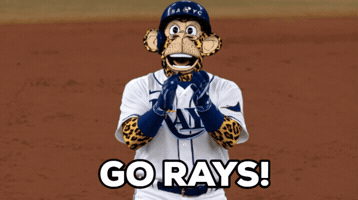 Major League Baseball Celebration GIF by Boring Merch