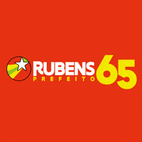 Saoluis Rubens GIF by rubenspereirajunior