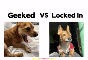 Locked In Geek GIF