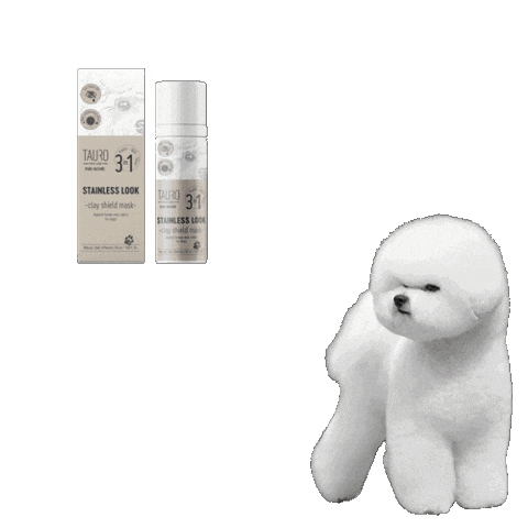 Bichon Tpl Sticker by KIKA Lietuva