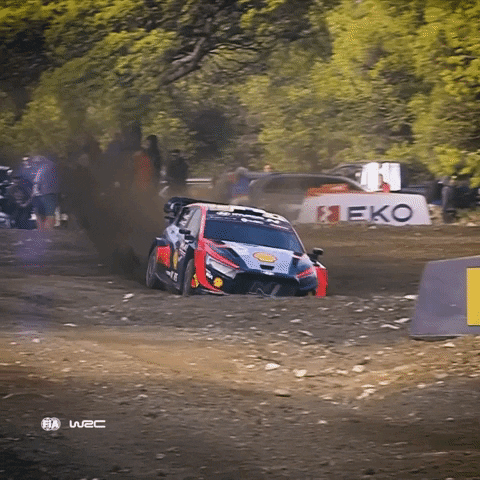 Car Jump GIF by FIA World Rally Championship
