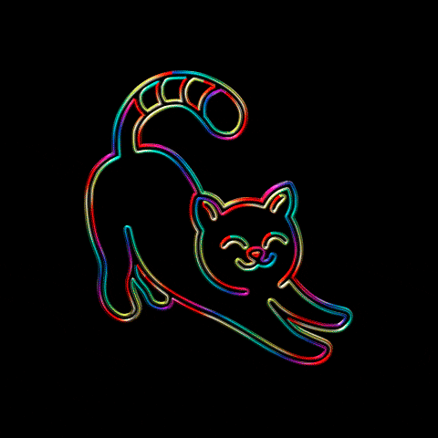 Cat Neon GIF by Omer Studios