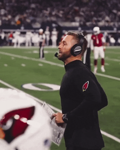 Excited Lets Go GIF by Arizona Cardinals