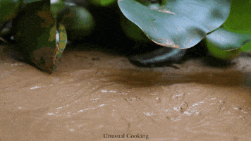 Satisfying Stop Motion GIF by UnusualCooking