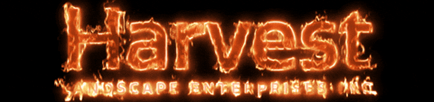 Fire Thl GIF by Harvest Landscape