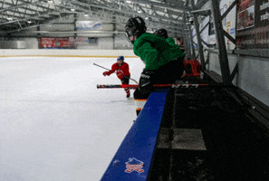 Hockey GIF