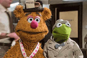 Kermit The Frog Comedy GIF by Muppet Wiki