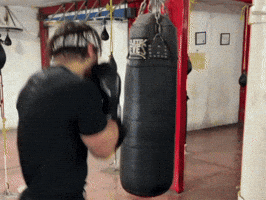 Aldo De Nigris Box GIF