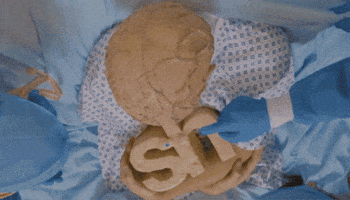 sh idea program GIF