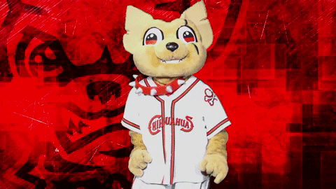 Happy El Paso GIF by El Paso Chihuahuas - Find & Share on GIPHY