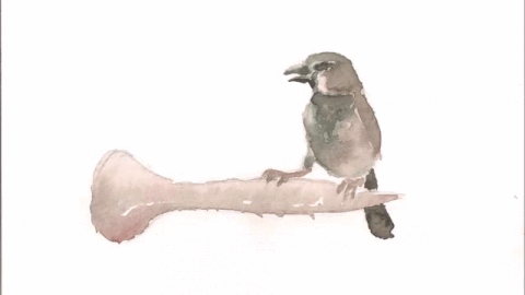 watercolor animation