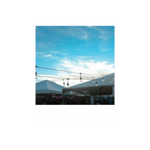 Fotografia Sticker