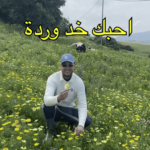Love You GIF