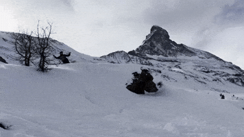 Switzerland GIF by Onlywheelies