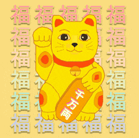 Chinese New Year Cat GIF