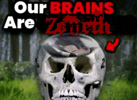 Our Brains Are Shrinking GIF