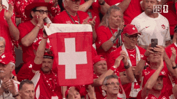 World Cup Fans GIF by DAZN Japan