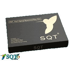 Rangertrooper Sticker by Sqtire Land