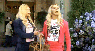 Poodle GIF by Kate