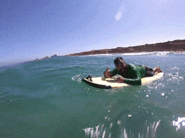 We Surf Camps GIF