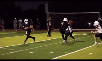Msmbar GIF
