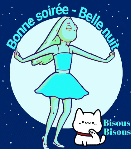 Bonne Nuit Bonne Soirée GIF