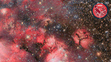 Stars Glowing GIF by ESA/Hubble Space Telescope