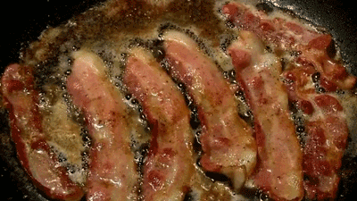 bacon