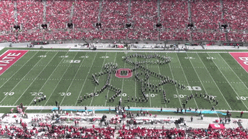Ohio State Buckeyes GIF by tbdbitl