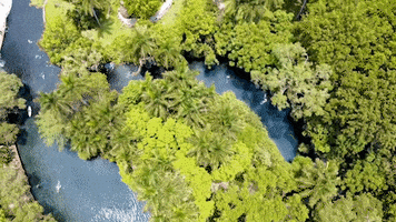 Drone River GIF by Las Estacas Parque Natural