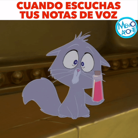 memoaponte  GIF
