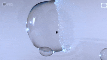 Bubbles GIF by PBS Digital Studios