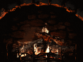 Yule Log Fire GIF