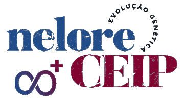 Pecuaria Nelore Sticker by paintMGA