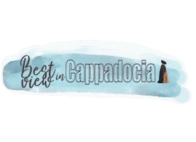 Bestview Sticker