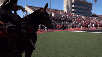 Huh GIF by University of Central Missouri