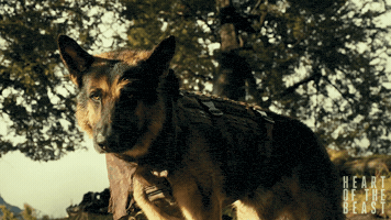 Heart of the Beast GIF
